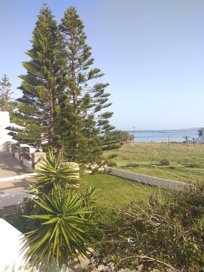 Albatross Holiday Apartments Agios Sostis  Bagian luar foto